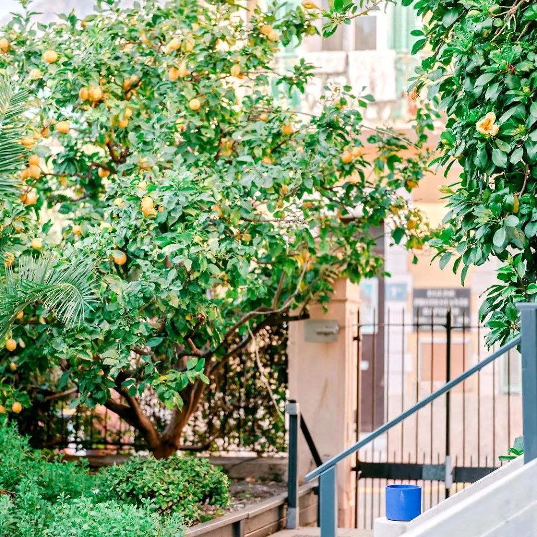 Hotel Lemon Mentone 2*,