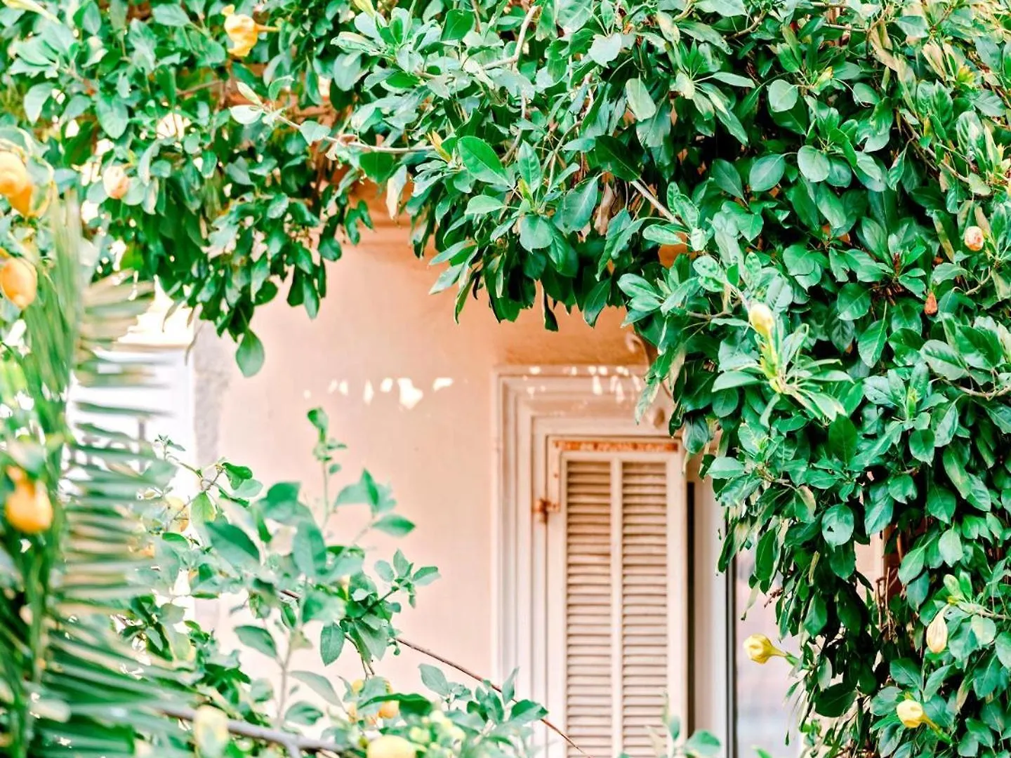 Hotel Lemon Mentone